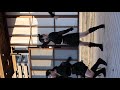 2021年11月14日高知ダンススタジオフォーラム（dance studio zealot kanon推しカメラ）