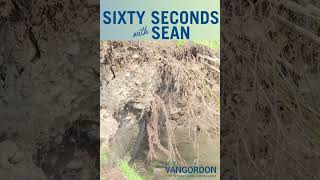 Sixty Seconds Sean The Levy