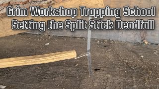 How to use the Split Stick Trap on Grim Survival Cards