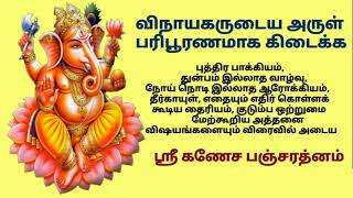 ஸ்ரீ கணேச பஞ்சரத்னம்|Sri Ganesha Pancharathnam |Aadhi Sankarar| Lord Ganesh Sloka|with tamil lyrics