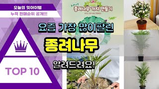 종려나무 추천 판매순위 Top10 || 가격 평점 후기 비교