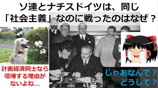 ソ連とナチスドイツは同じ「社会主義」なのに、なぜ戦った?[色即是空]