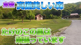 【キャンプ場】🏕真備美しい森・たけのこの里は頑張っています（岡山県倉敷市）