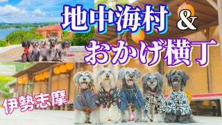 三重県伊勢・志摩 [犬とお出かけ][地中海村][伊勢神宮][おかげ横丁][シュナウザー][伊勢うどん]