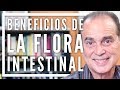 Episodio #1651 Beneficios De La Flora Intestinal