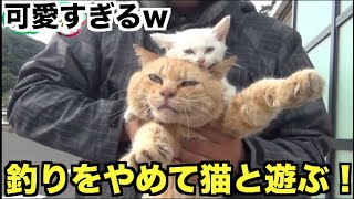 釣りをやめて猫達と遊ぶよーらいw