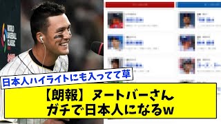 【朗報】ヌートバーさん、ガチで日本人になるw【なんJ反応集】