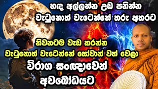 විරාග සංඥාව. රාගය නැති සිතක් .හසලක සීලවිමල හිමි Hasalaka Seelawimala Thero.