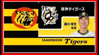 【阪神タイガース】2025阪神タイガース始まったので去年の結果から今年の顔ぶれ見ていくよー