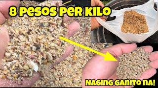 Pagandahin ang nabili na 8 pesos per kilo na feeds