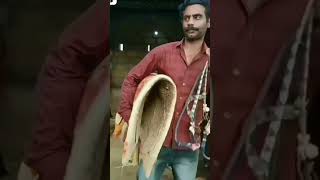 horse sound kathiyawadi horse avaj ઘોડા નો આવાજ કાઠતો માનસ