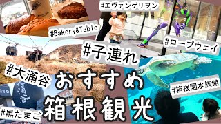 【箱根観光】子連れ箱根旅行1泊2日のモデルコース紹介！【Vlog】大涌谷〜桃源台　ロープウェイ