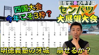 【四国大会展望】目指せセンバツ！秋季高校野球四国地区大会（香川・徳島・愛媛・高知県】を展望！春の甲子園へ進むのは？【選抜高校野球】