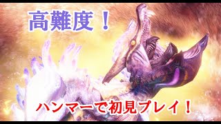 【モンハンライズ】高難度：百竜ノ淵源強化！ハンマーで初見プレイ！