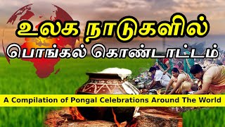 Pongal Celebration in Foreign Countries | பொங்கல் கொண்டாட்டம் | Tamil Kids Channel