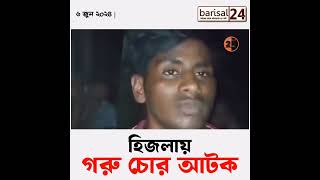 বরিশালের হিজলায় গরু চো'র আ'ট'ক