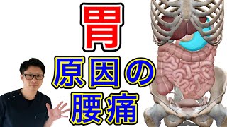 【腰痛改善】胃が原因の腰痛の治し方！【埼玉県蕨市 整体院羽翼 TSUBASA 】