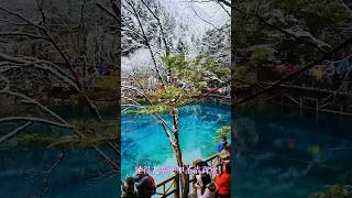 九寨溝迎來2024年第一場雪Jiuzhaigou ushered in the first snow in 2024 #新加坡 #台灣 #越南 #japan #japanese #香港