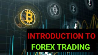 Forex Trading 101: Mastering the Basics of Currency Exchange