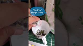 Sensasi nasi biru #kreasistayathome