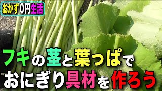 【おかず０円生活】8月フキ佃煮とフキ味噌を作る