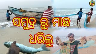 ସମୁଦ୍ର ରୁ ମାଛ ଧରିଲୁ 🐟🐟🐟🐠🐠|(odia) @RBbasudev75 #villagelifestyle #odiavlog