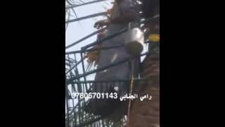 #x202b;جهاز تسلق النخيل رامي الجنابي 07806701143#x202c;lrm;
