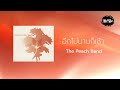 the peach band อีกไม่นานก็เช้า official lyric video