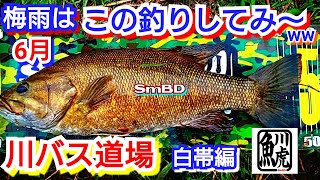 yasu 6月実釣ポイント解説【バス釣り】スモールマウスバス/ドリフトミノーsmallmouthbassFishing2022年6月