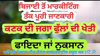 ਹਾੜੀ ਦੀ ਰੁੱਤ ਚ ਫੁੱਲਾਂ ਦੀ ਖੇਤੀ ਲਾਹੇਵੰਦ ਜਾਂ ਘਾਟੇ ਦਾ ਸੌਦਾ,  ਪੂਰੀ ਜਾਣਕਾਰੀ Flower cultivation in Rabi