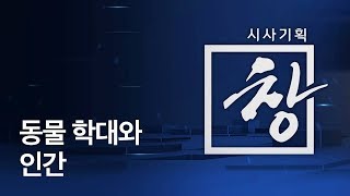 [시사기획 창] 동물 학대와 인간 / KBS뉴스(News)