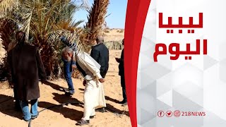 حملة توعوية لمكافحة آفات النخيل في \