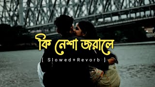 Ki Nesha Jorale Lyrics Version by Balam || কি নেশা জরালে |Bengali lofi