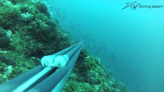 The Ambush by Sotiris Mavrommatis | Spearfishing in Greece