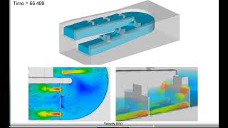 Design and analysis of fish passage structures