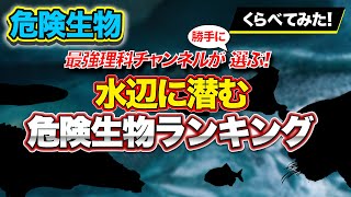 【危険生物ランキング】水辺に潜む危険生物とは…!?