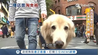 誤打誤撞捧紅店狗 老字號連鎖餐飲稱霸西門町│【台灣要聞。先知道】20190302│三立iNEWS