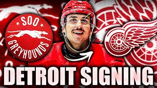 STEVE YZERMAN MAKES AN INTERESTING MOVE: DETROIT RED WINGS SIGN HUGE GROWTH PROSPECT ANDREW GIBSON