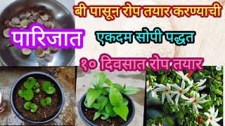 बी पासून प्राजक्ताचे रोप तयार करण्याची सोपी पद्धत||Grow Harsingar from seeds||#spgardeningmarathi