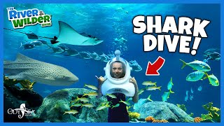 KIDS swim with SHARKS, STINGRAYS and EELS!
