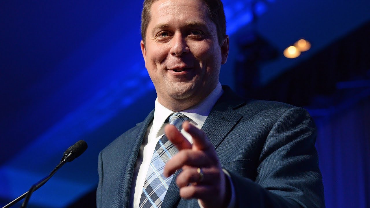 Andrew Scheer Wins Conservative Leadership Race - YouTube