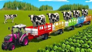 LOADING AND TRANSPORTING COWS WITH FENDT MINI TRACTORS - Farming Simulator 25