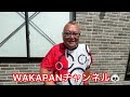 和歌山県田辺市　吉野家42号線田辺店でランチ❤️ 凄くお洒落で綺麗になっていた✨ wakapanチャンネル🐼