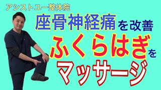 【坐骨神経痛】太ももの裏やふくらはぎのしびれは、ふくらはぎをマッサージで改善！【神戸市　腰痛】【慢性腰痛専門整体院　アシストユー整体院】