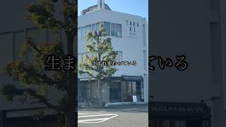 岡山県岡山市北区【問屋町 といやちょう】古い問屋街が若者の街に生まれかわってる！