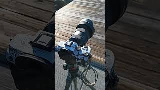 Do I buy a Sigma 150-600 lens for my SONY A7III