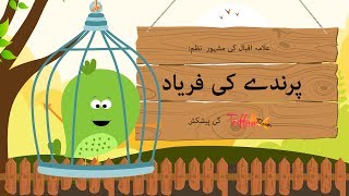 Parinday Ki Faryaad | A Poem By Allama Iqbal | Kids Urdu Poem | Toffee TV