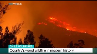 Chile Wildfires: Country's worst wildfire in modern history