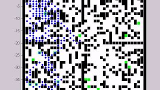Foraging simulation
