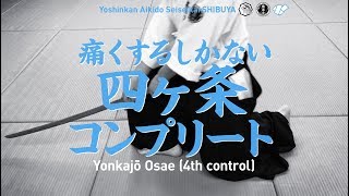 ［痛くするしかない四ヶ条コンプリート］ 養神館合気道 精晟会渋谷の稽古